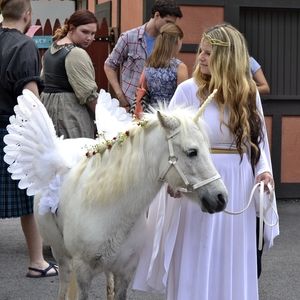 Meet your Posher, Elisa